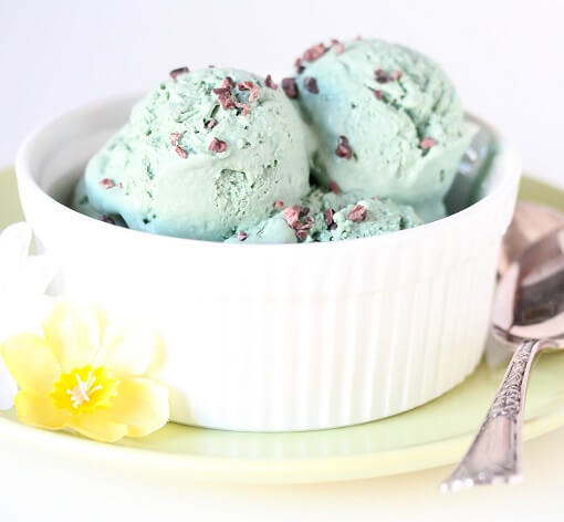 Spirulina Ice Cream Recipe {Gluten-Free, Vegan}
