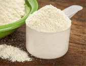 Soy Protein vs. Whey Protein - Everything You Need to Know