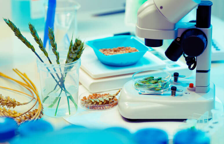 Microscopes are synonymous with the scientific method in today's day and age.